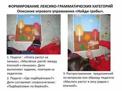 Лексико грамматическое занятие