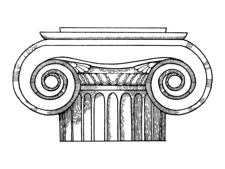 Luxury volute. Гравированная колонна рисунок. Рисунок Ионика. Volute. Column Capital.