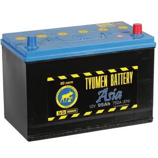 Battery 95