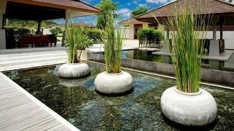 Plant pool
