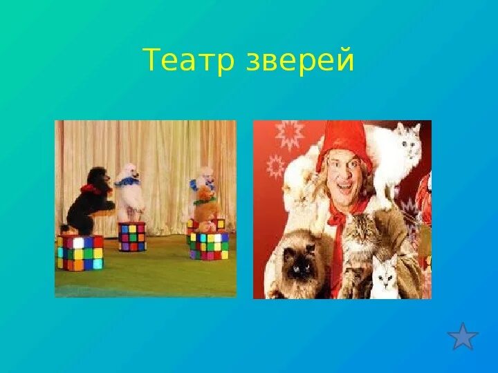 В каком театре животные выступают с людьми. Театр зверей. презентация театр животных. театр зверей 2 класс презентация. животные театр как показать человеку.