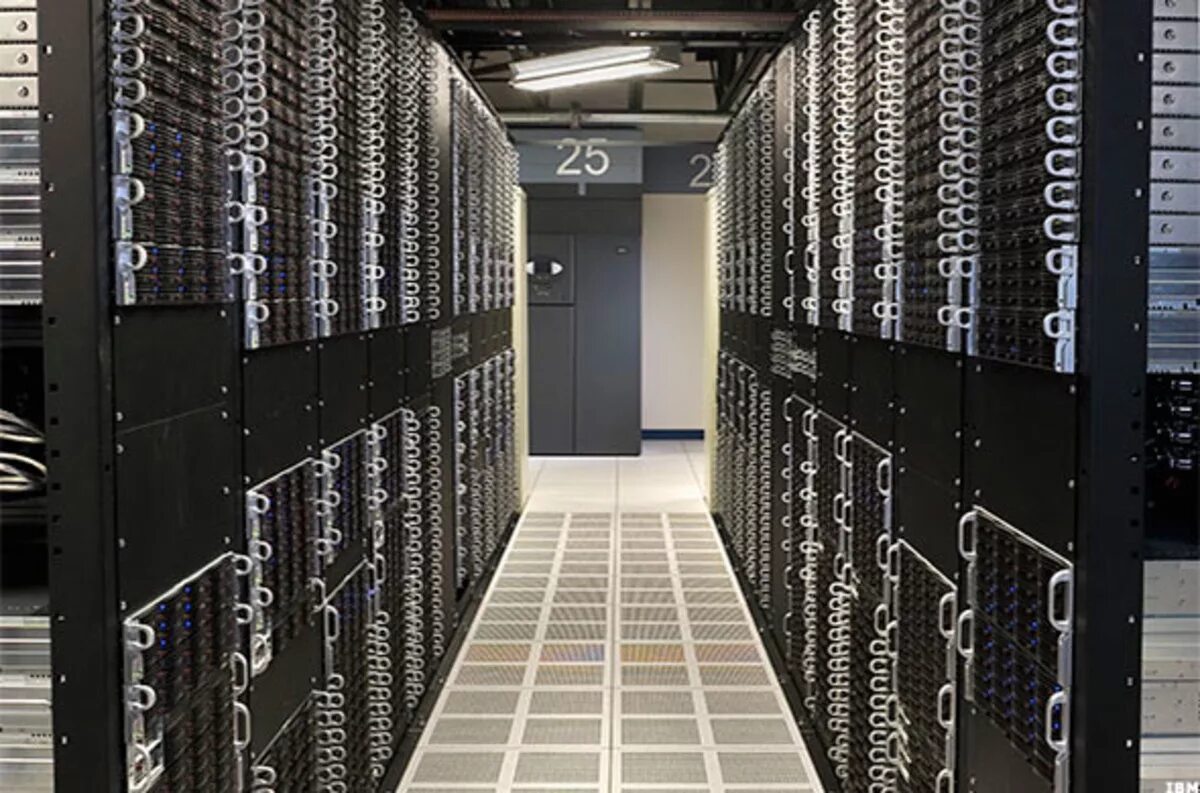 Ibm rose