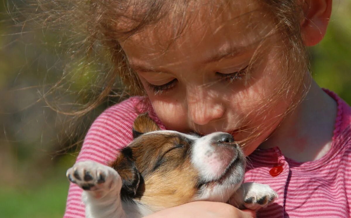 Добро картинки. Милосердие к животным. Трогательные животные. Любовь к животным. Дети и животные доброта.