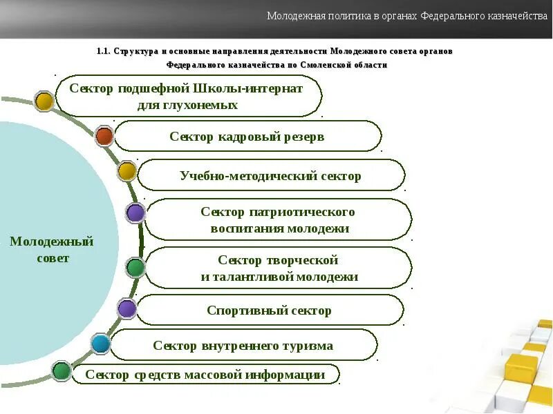 Направления молодежной политики. Структура молодежного совета. Направления деятельности молодежного совета. Молодежная политика органы. Направления деятельности молодежи