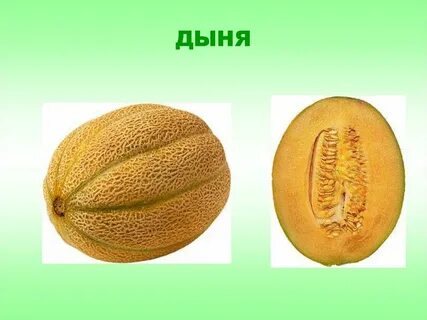 Дыня склонение
