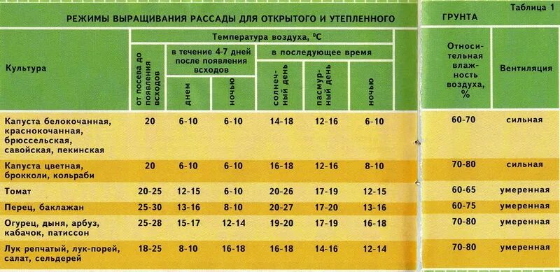 Таблица рассады овощей для высадки в грунт. Температура для рассады. Минимальная температура для всходов. Минимальная температура для рассады. Помидоры температура выращивания