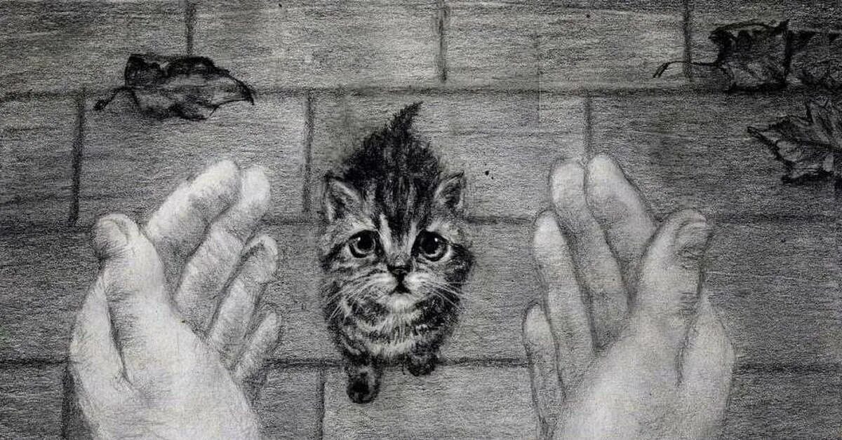 Добро кот. Добро кот