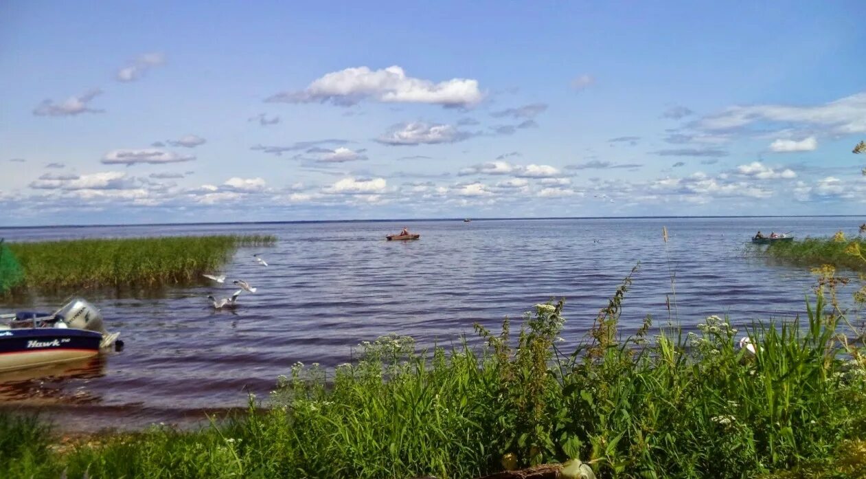 Белое юховское озеро. Долгое (озеро, белоруссия). Белое озеро тверская область. Волоярви озеро рыбалка. Оз белое вологодская область.