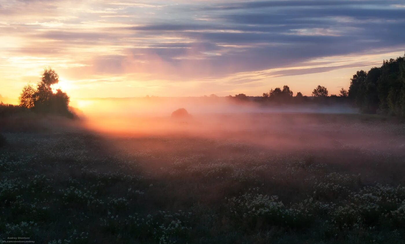 Утро четвертый. Рассвет туман. Ранний рассвет. Поле в тумане. Ранний рассвет в поле.