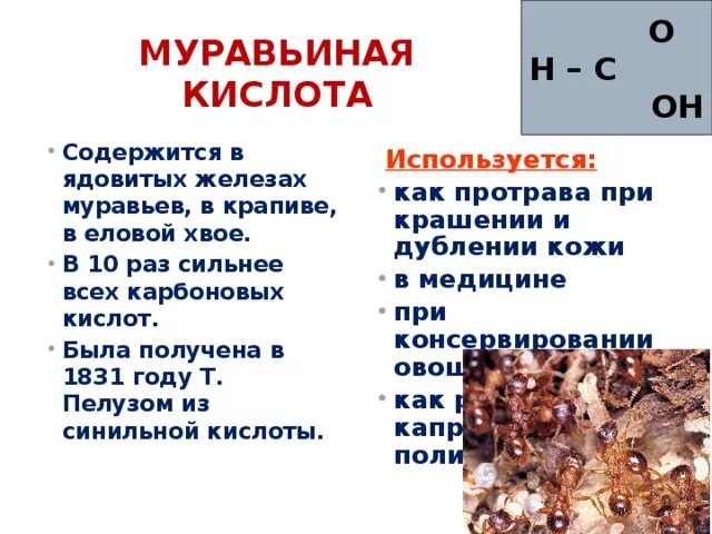Чем полезна муравьиная кислота. Муравьиная кислота меры предосторожности. Карбоновые кислоты муравьиная кислота. Муравьиная кислота в медицине. Муравьиная кислота в природе.