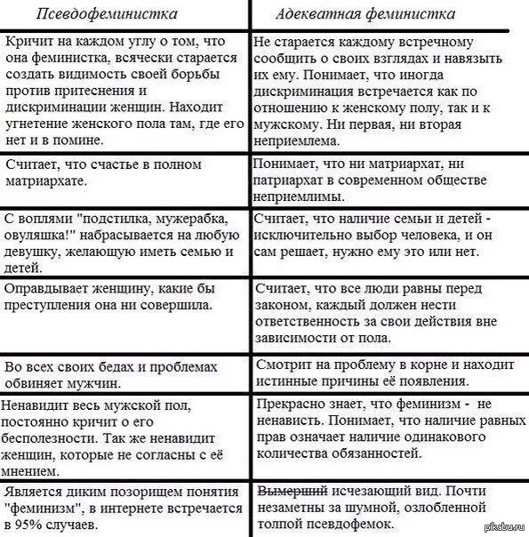 Направления феминизма. Аргументы против феминизма. Аргументы за феминизм. Виды феминизма таблица. Феминизм за и против Аргументы.