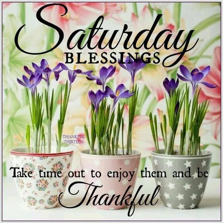 Take time to enjoy