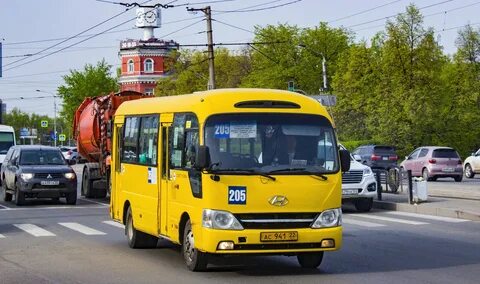 Автобус 205 желтый