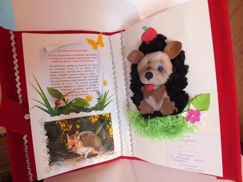 Конкурс детских поделок я и красная книга. Конкурс детских поделок я и красная книга. Конкурс детских поделок я и красная книга. Я и красная книга конкурс поделок. Татарстан поделки своими руками.