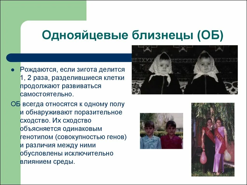 Исследования близнецов. Близнецовый метод изучения наследственности человека презентация. близнецовый метод изучения наследственности человека. метод изучения близнецов. однояйцевые близнецы наследственность.