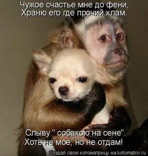 Где прочий
