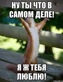 Ты в деле фото