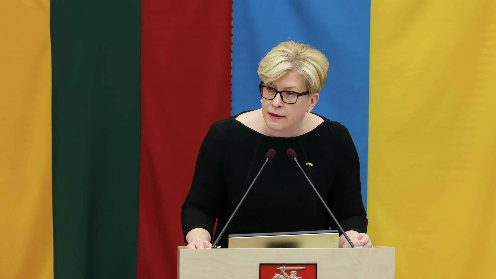 Литва признала. Литва сейчас. шавки литва латвия эстония. союз эстонии и латвии и литвы. литва 2025.