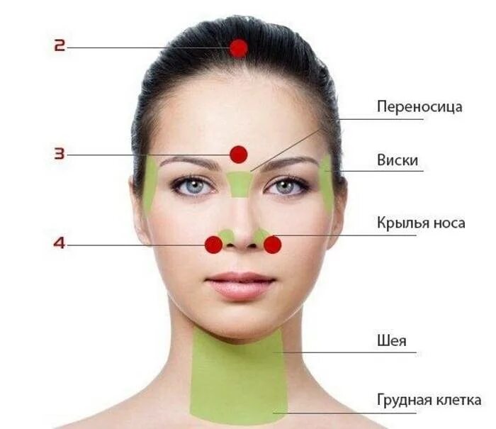 Как называется под носом