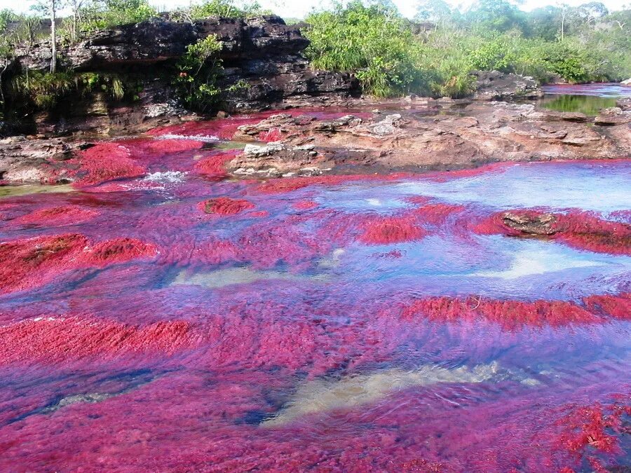 Самые большие водоемы на планете это