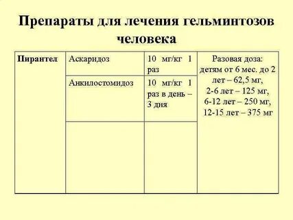 Лечение аскаридоза у взрослых схема лечения препараты