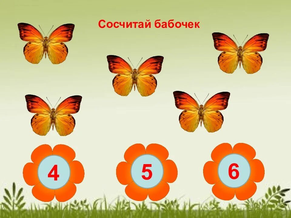Сосчитай бабочек. Бабочки картинки. Бабочки цветные. Вырезать из ткани бабочку. Бабочки 5д обложка.
