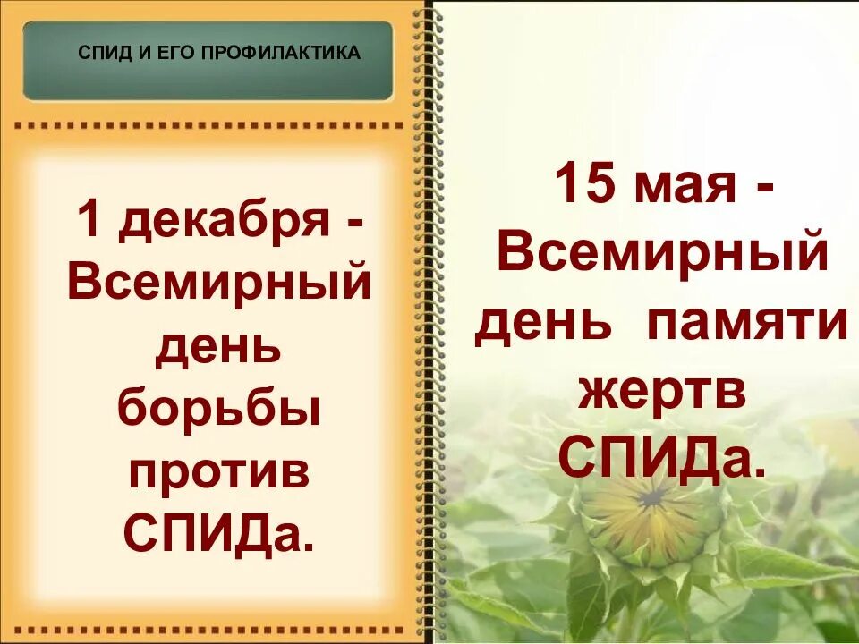 Май спид. 15 мая спид.