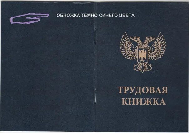 Форма трудовой книжки днр. Трудовая книжка обложка. Трудовая днр. Трудовая книжка днр. Трудовая книга.