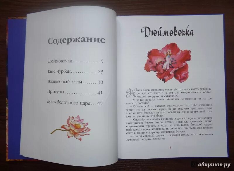 Розовый куст андерсен. Волшебный холм и другие сказки. дюймовочка количество страниц. рассказы г х андерсена волшебный холм.