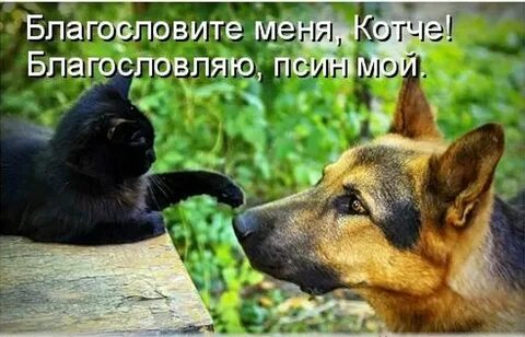Создай мой