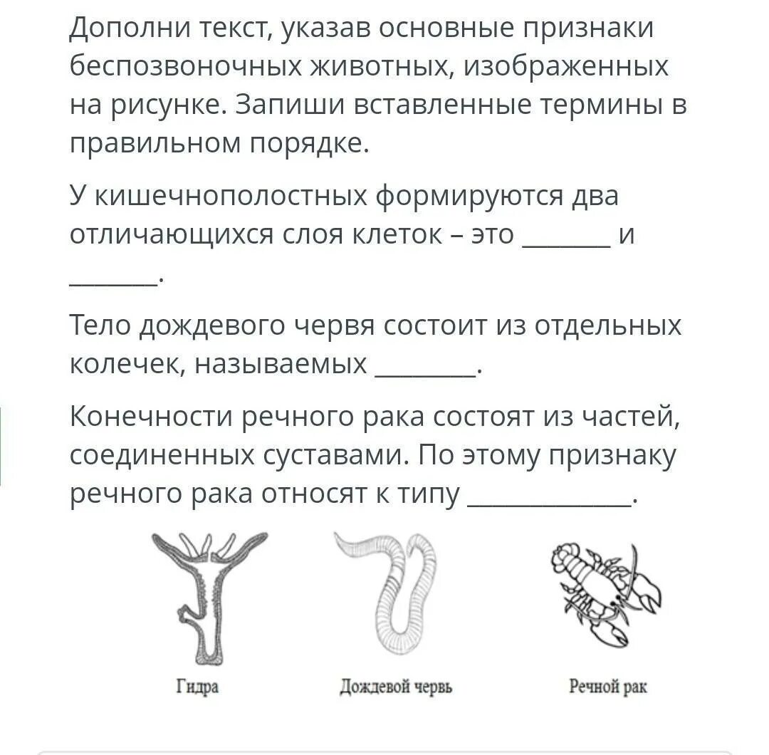 Рассмотри рисунок дополни текст. Основные признаки беспозвоночных. Признаки беспозвоночных животных. Основной признак беспозвоночных отсутчивн. Какая из основных особенностей животных изображена на рисунке?.