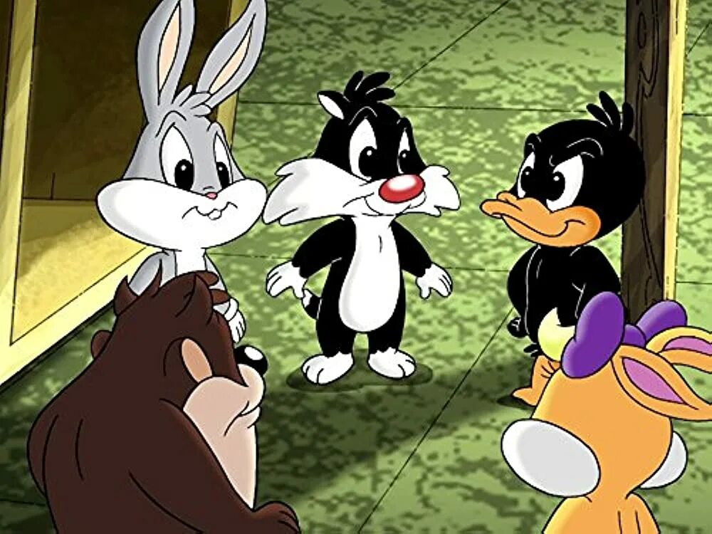 Бэби луни тюнз 2х2. Луни тюнз шоу герои. Луни тюнз шоу дети. Луни тюнз в детстве. Бэби луни тюнз.