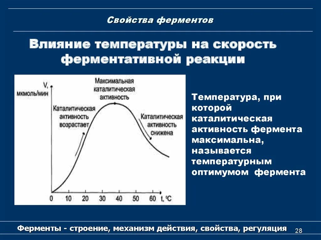 Изучение ферментативной активности. Механизм каталитического действия ферментов биохимия. Влияние на активность ферментов. Влияние РН на активность ферментов. Влияние температуры на активность ферментов.