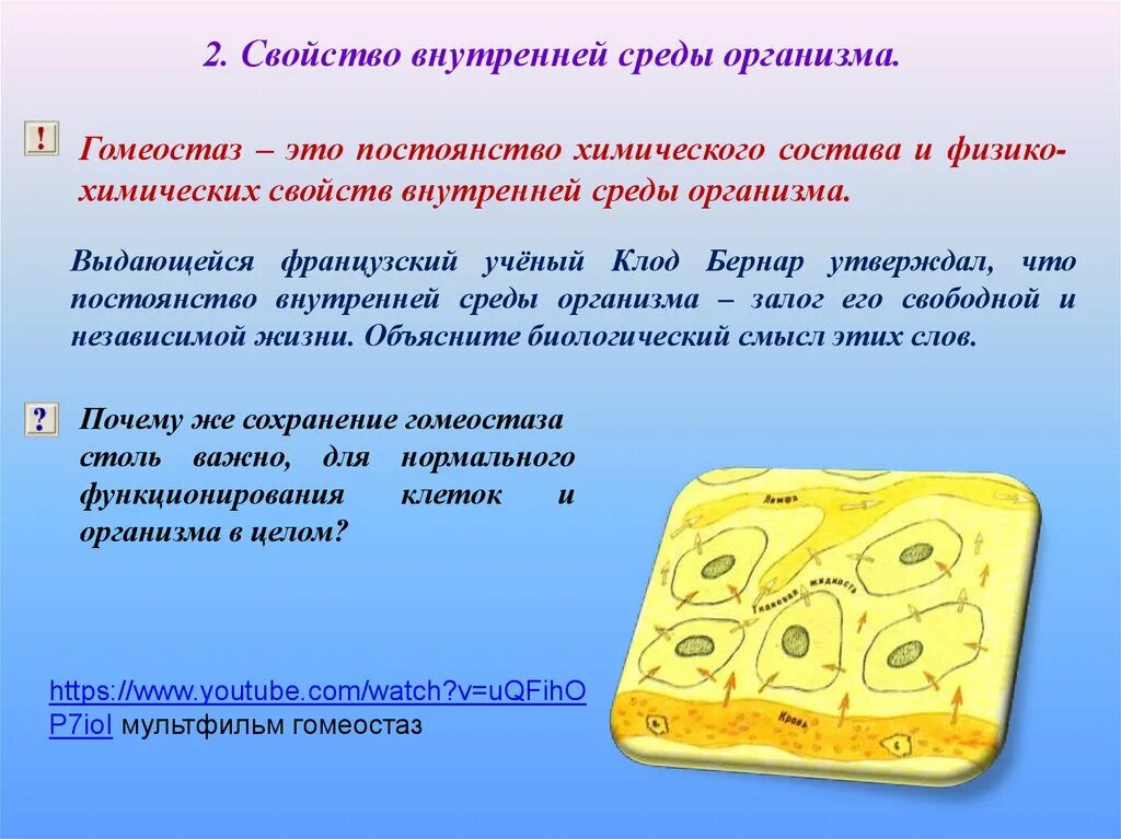 Поддержание относительного постоянства внутренней среды организма это. Свойства внутренней среды организма. постоянство состава внутренней среды организма. внутренняя среда организма гомеостаз. постоянство внутренней среды это свойство.
