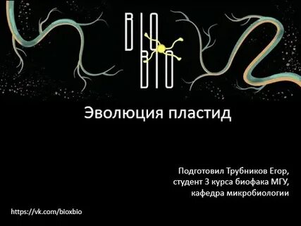 Эволюция лекция