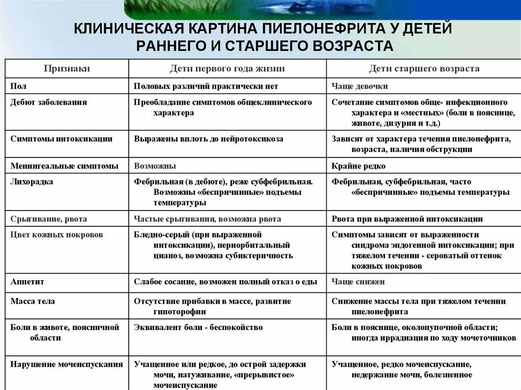 Пиелонефрит в 2 года. Клинические симптомы пиелонефрита у детей. Клинические симптомы пиелонефрита у детей раннего возраста. Острого пиелонефрита у детей раннего возраста симптомы. Клиника пиелонефрита у детей раннего возраста.