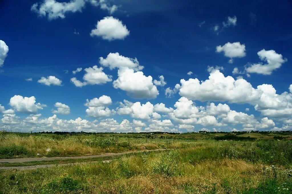 Беречь степь. Донские степи ростовской области. степи новочеркасска. шарчинская степь. летняя ростовская степь.