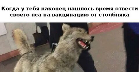 Когда наконец явилось