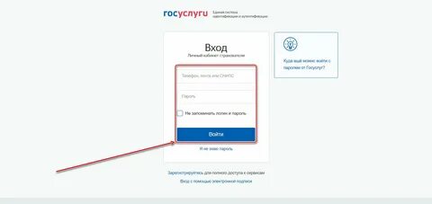 Госуслуги физического лица по снилсу
