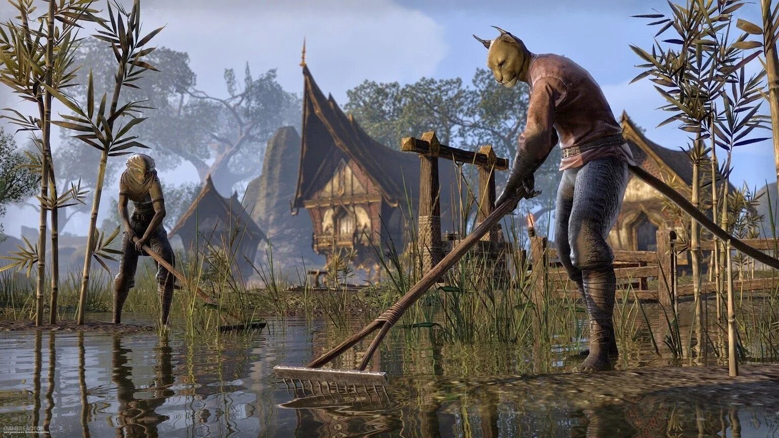 Дата выхода тес 6. Игра the elder scrolls 6. элдер скролс 6 дата выхода. тес 6 аргония. the elder scrolls 6 argonia.