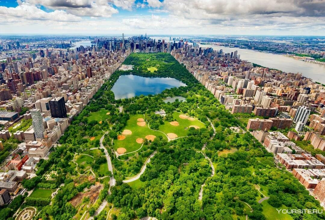 New central. Парк в Нью-Йорке. Central Park в Нью-Йорке. Централ парк Нью-Йорк площадь. Грин парк Нью Йорк.