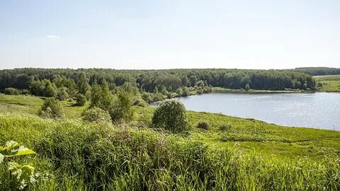 Село иваньковское тульская область