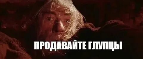Глупцы не разумом не честностью блистали