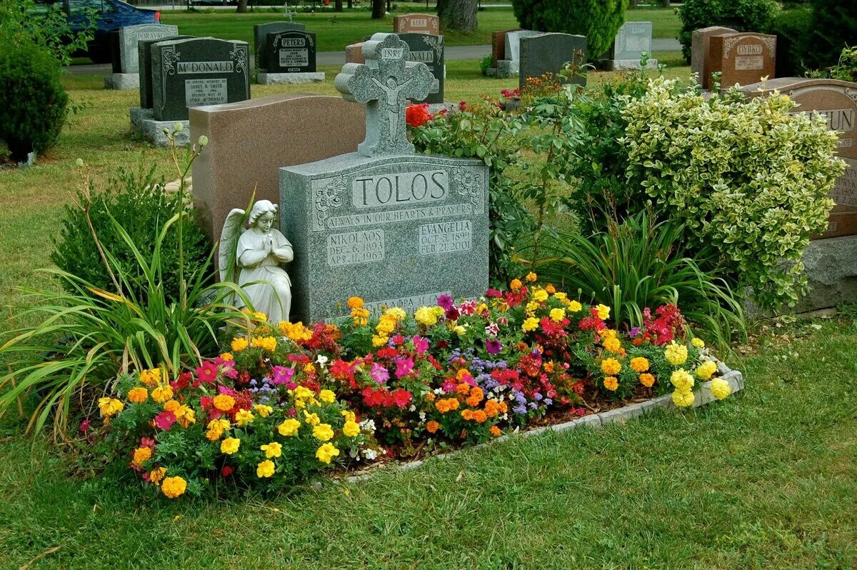 Цветы из дома на кладбище. Украшение могилы цветами. Украшение могил многолетними цветами. Могила с цветами. Украсить могилу.