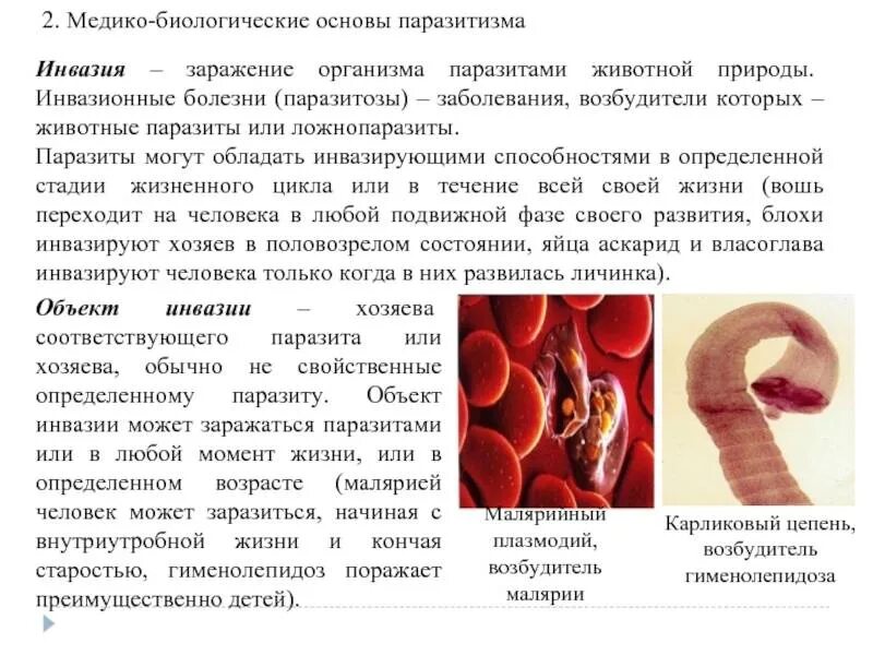 Паразиты это. Паразиты в организме человека. Паразиты инвазии в организме человека. Медико-биологические основы паразитизма.