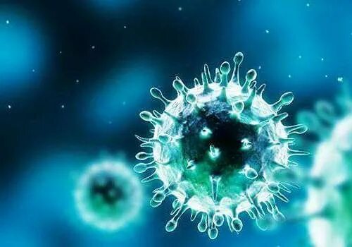Herpes simplex 1 и 2. Herpes simplex 1 и 2