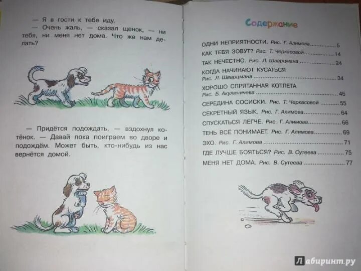 Остер. Книга котёнок по имени гав. "котёнок по имени гав". Середина сосиски. Котенок по имени гав читательский дневник.