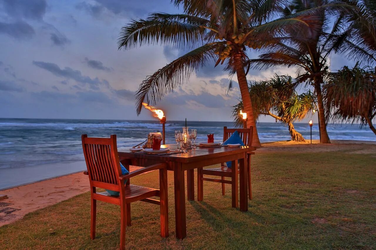 Mermaid hotel club 4 шри-ланка. Arena hotel beruwala 4 шри ланка. Arena отель шри ланка. Arena hotel шри ланка. Arena hotel 4* (берувела).