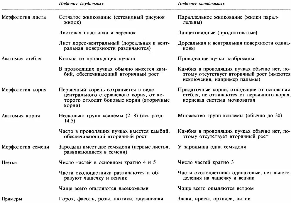 Основные различия однодольных и двудольных растений таблица. Однодольные и двудольные различия таблица. Однодольные и двудольные растения таблица. Характеристика однодольных и двудольных растений таблица.