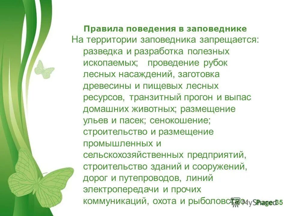 Поведение в заповеднике. Поведение в заповеднике